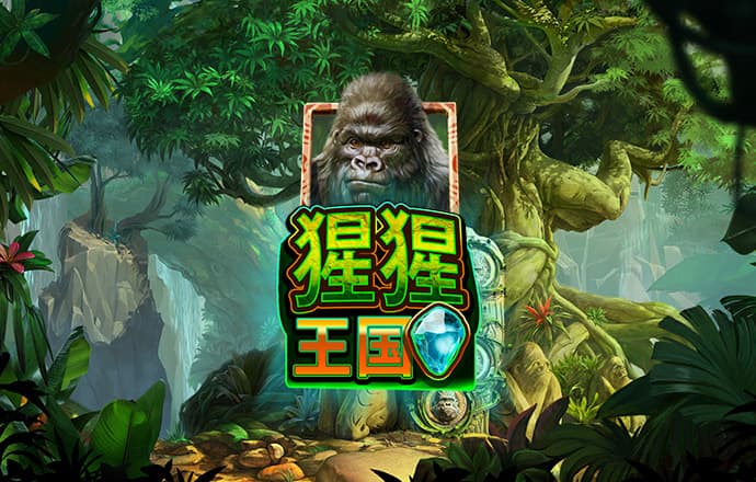 BOB体育综合官方平台APP